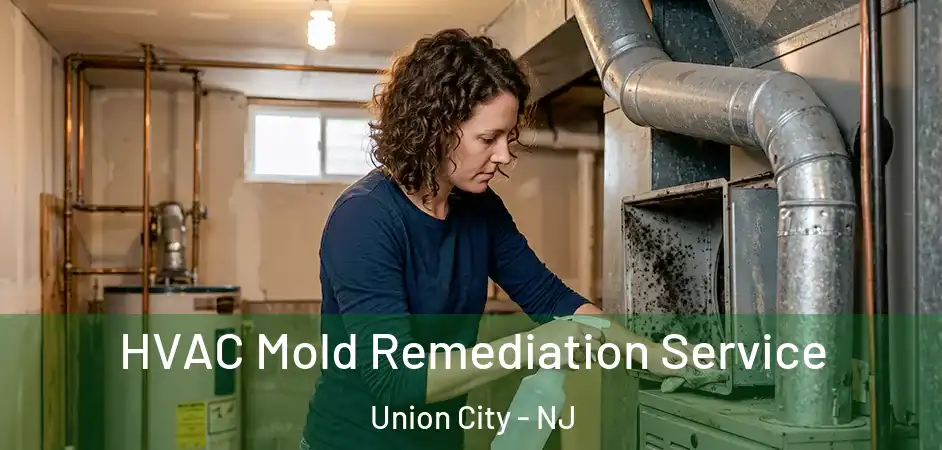  HVAC Mold Remediation Service Union City - NJ